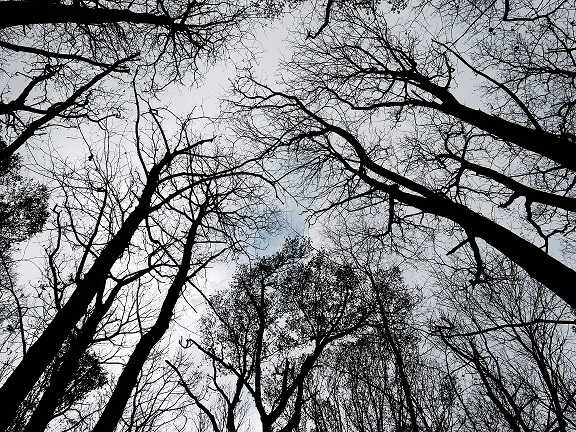 Find your place in the world